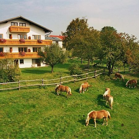 Biobauernhof Wolf-Hof Appartement Pressbaum Buitenkant foto